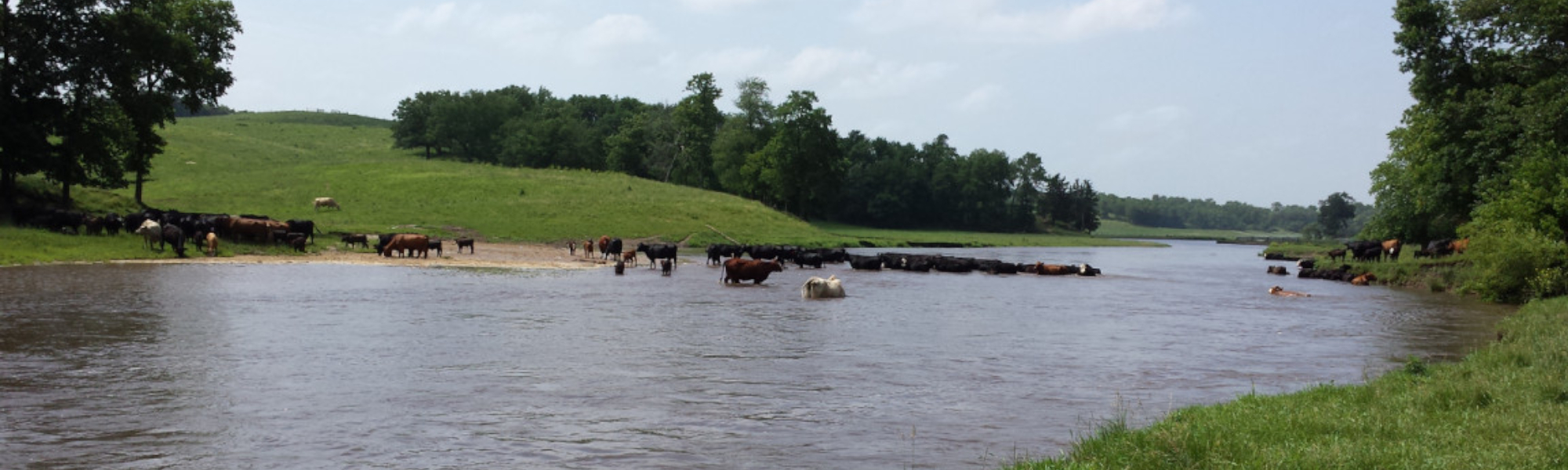 Stickle Farms River