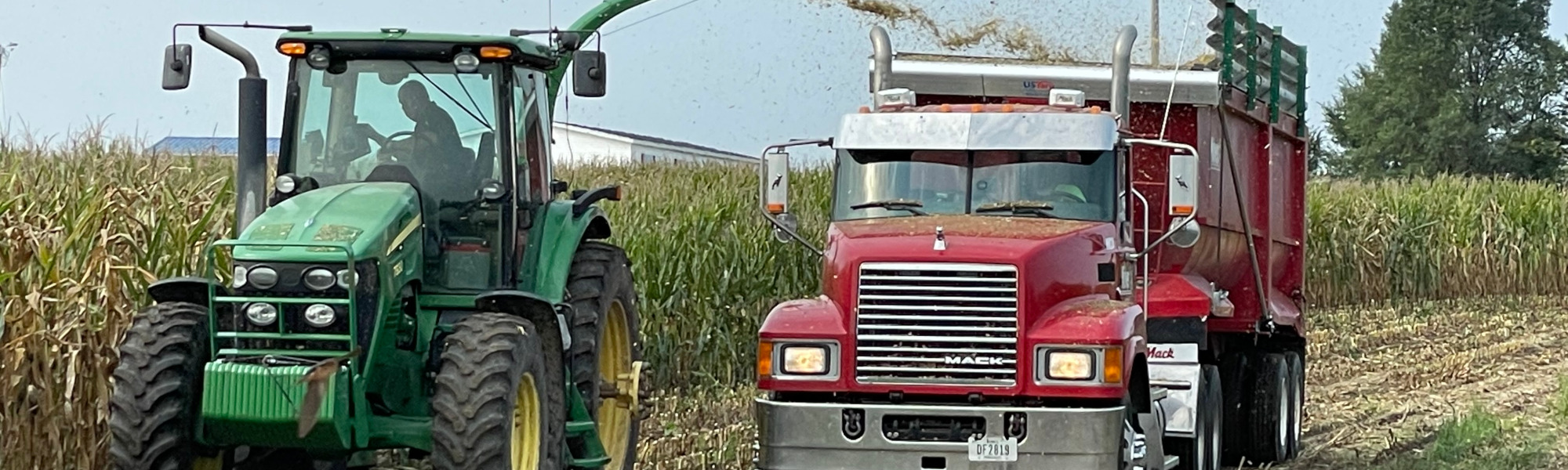 Stickle Farms Corn